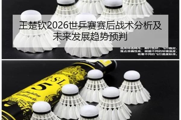 王楚钦2026世乒赛赛后战术分析及未来发展趋势预判